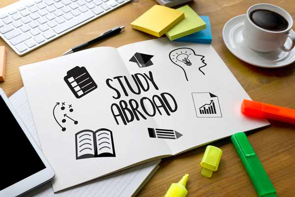 Why You Should Hire a Study Abroad Consultant: What To Look For?